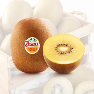 팜쿡  제스프리 골드키위 중과 개당 110g내외