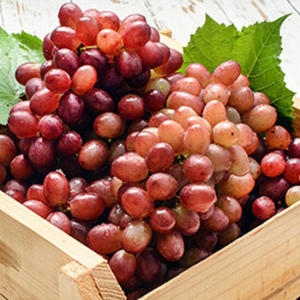 팜쿡  고당도 크림슨포도 1kg