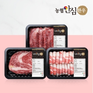 농협안심한우  1등급 한우 한 근 구이세트 600g