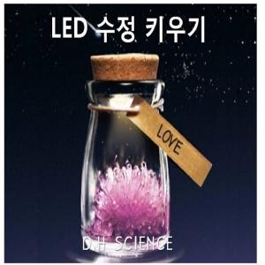 LED 수정키우기