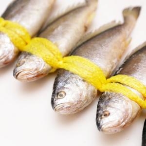 에이치제이푸드  반건조 부세조기 5미