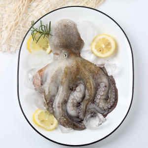 숨비영어조합법인 숨비해물 거제도 자연산 돌문어 1kg