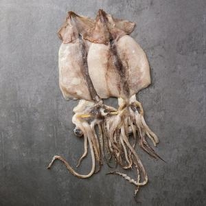 싱싱식탁  국내산 반건조 오징어 5마리 450g