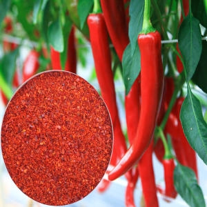 다산식품 24년 경북영양 태양초 햇 고춧가루 김치용 보통맛 2kg