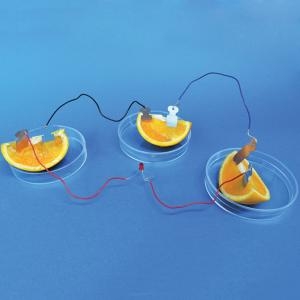 과일로 켜기 5인 JS-42117