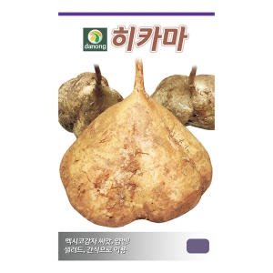 다농  히카마씨앗 10g 얌빈 멕시코감자씨앗
