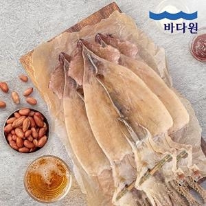 바다원  국내산 동해안 마른 오징어-마른 오징어 20미 1kg