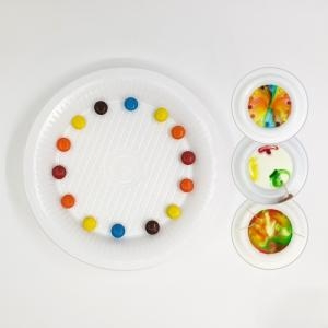 물을 만난 초콜릿 색소 무지개 우유 실험 5인용