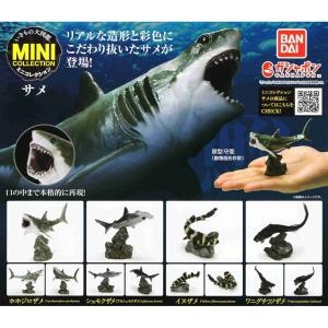 반다이  생물대도감 미니 컬렉션 상어 피규어 전4종 뽑기 캡슐 토이 일본