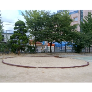 오성  씨름모래장 OSP_6000 고무안전 보호대 26개 소요 지름 8m 학교 공원체육