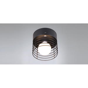 조명사랑  팡팡 1등 센서등 11W