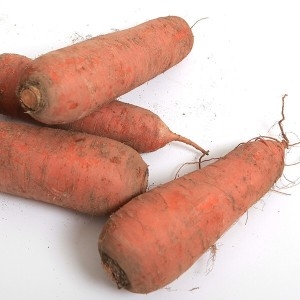 싱싱한  국내산 흙당근 5kg 중