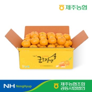 제주농협 하우스 감귤 소과 2.5kg