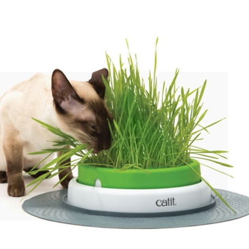 하겐 캣잇 센시스 2.0 그래스 플랜터