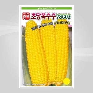 아시아종묘  초당 옥수수 씨앗 100립