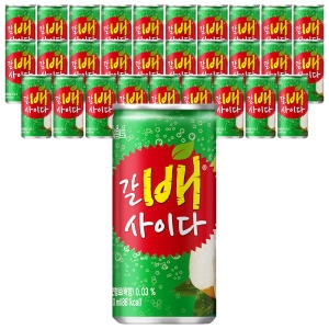 해태음료 갈배 사이다 210ml