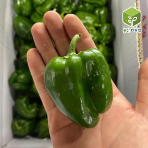 농산다모임  국내산 청피망 10kg