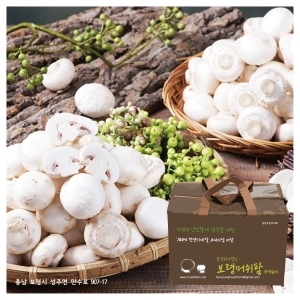 명품양송이농장  보령 명품 양송이버섯 파지 2kg