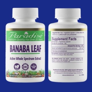 파라다이스허브 바나바 리프 250mg 180캡슐