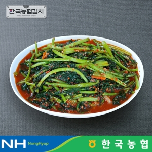 한국농협김치  전라도 순천 남도 열무김치 3kg