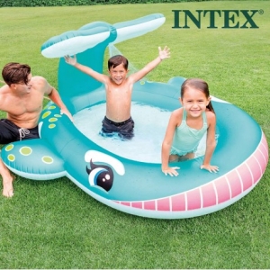 인텍스 돌고래 스프레이풀 (57440)