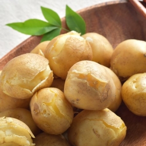 감동  감자 국내산 감자 5kg 중/휴게소통감자크기