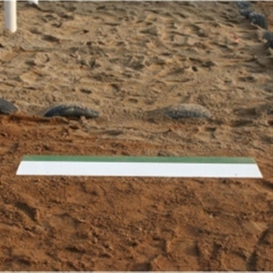 오성  멀리뛰기 발구름판 발판 OSA1301-L 철재+목재 OSA1301-C 목재 육상용품 구름판반 육상경기용품 멀리뛰