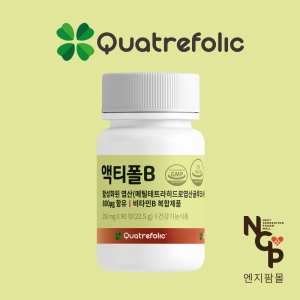 콰트레폴릭 액티폴B 250mg 90정