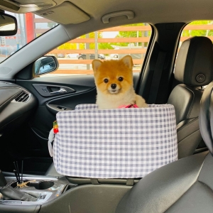 개과천선 강아지 카시트 소프트 네이비