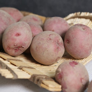 친환경팔도  산지직송 함안 포슬포슬 카스테라감자 홍감자 대특 5kg