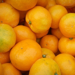 나영이네농장  맛좋은 감귤 중대과 10kg