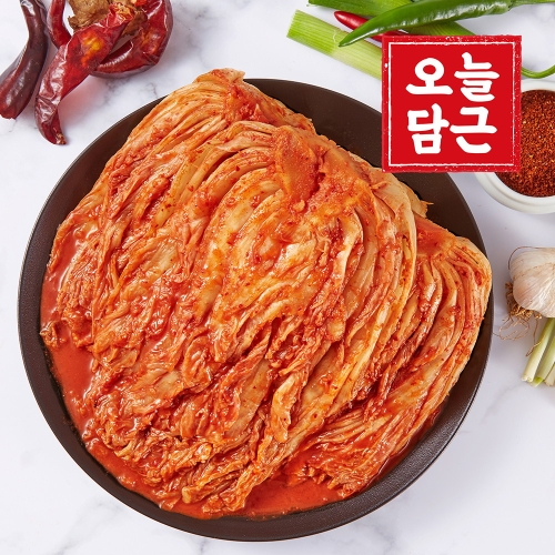 오늘담근 전라도 묵은지 3kg