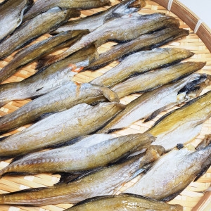 장수왕  조미 노가리 소자 1kg 보냉팩 /마른 안주 건어물 앵치 명태 대구