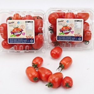 자연품애 스테비아 대추방울토마토 1kg 500g2팩