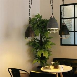 퍼플스토리  틴틴 1등 PD