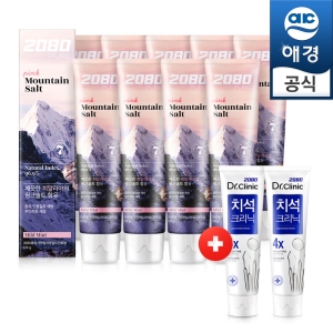애경 2080 히말라야 퓨어마운틴 핑크민트 솔트치약 120g x 9개 + 치석크리닉 칫솔 x 2개