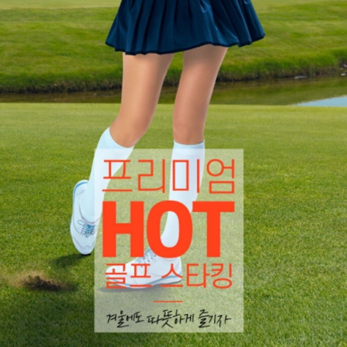 체스  핫 여성골프 기모 스타킹_고리형