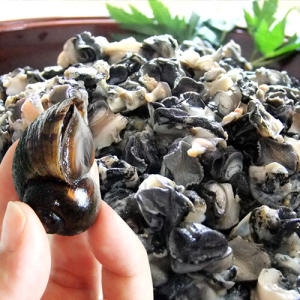 산정마을  국내산 왕 우렁이 1kg