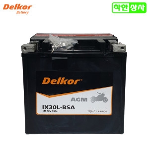 델코  폴라리스 ATV 디젤 스포츠맨 AGM 배터리 YIX30L-BS 12V30A STX30L 무료충전