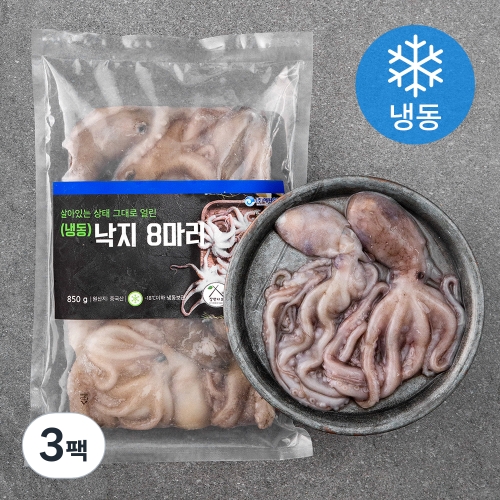 낙지/주꾸미 - 에누리 가격비교