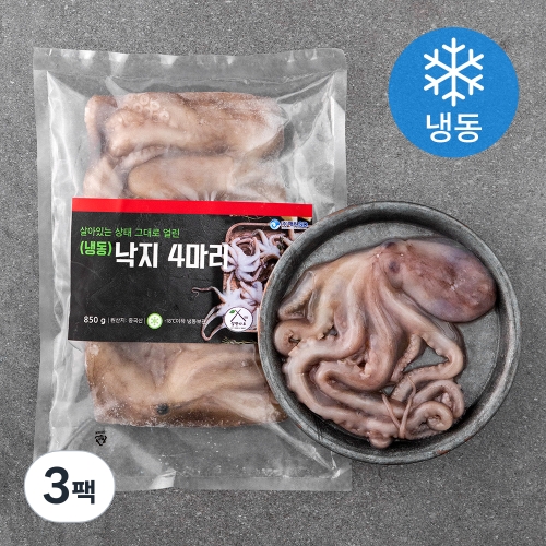 주식회사해원에스디 살맛나요 살아있는 상태 그대로 얼린 낙지 4미 850g [3개] - 에누리 가격비교