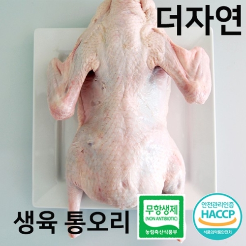 다모아영농조합법인 더자연 무항생제 국내산 생 오리 통오리 2kg - 에누리 가격비교
