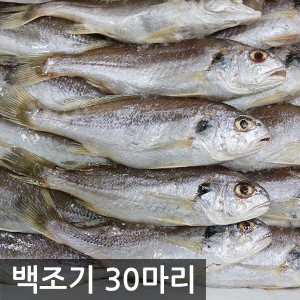 여수고기  국내산 백조기 30마리