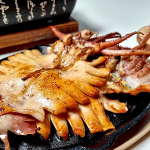 지봉마켓  국내산 못난이 반건조오징어 1kg 피데기오징어 피대기 파지