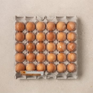 이마트  일판란 특란 30구