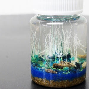 아쿠아 화학 정원만들기