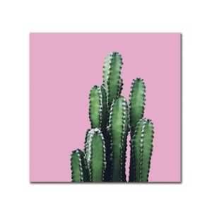 오아시스 아트웍