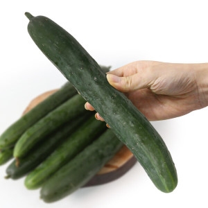 친환경팔도  수분의 여왕 청 오이 특 2kg