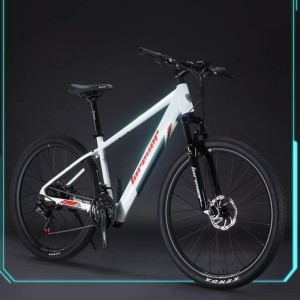 포에버  전기 자전거 MTB 전동 PAS 산악 EMTB