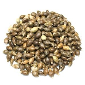 자연초  피율무 껍질있는 율무 통율무 1kg